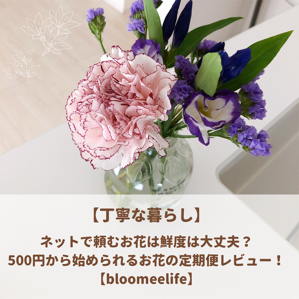 f:id:tete-by-sisters:20191214085358p:image f:id:tete-by-sisters:20191214085358p:image
