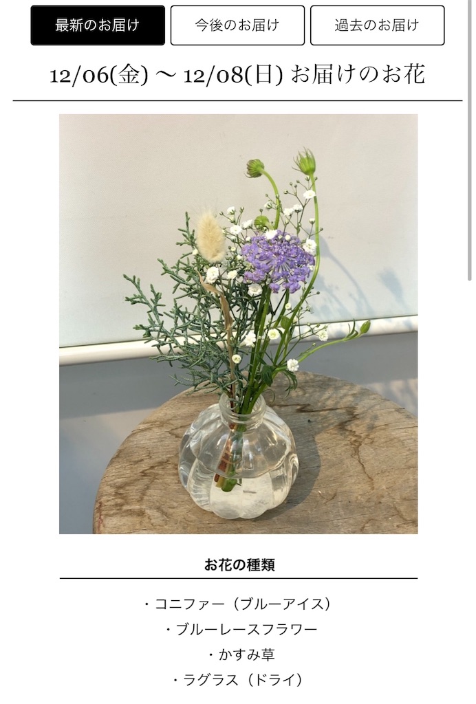 f:id:tete-by-sisters:20191214091526j:image f:id:tete-by-sisters:20191214091526j:image