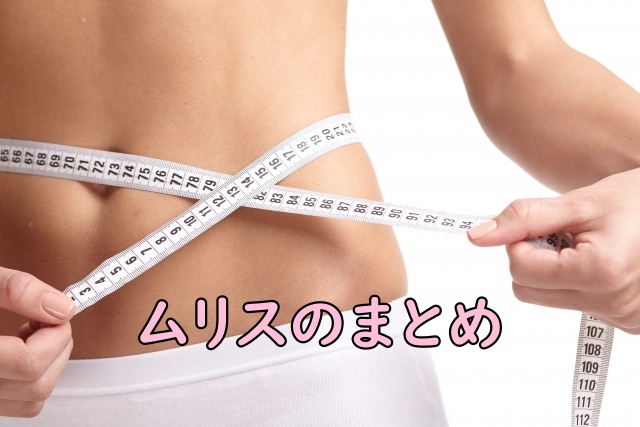 ムリスのまとめ