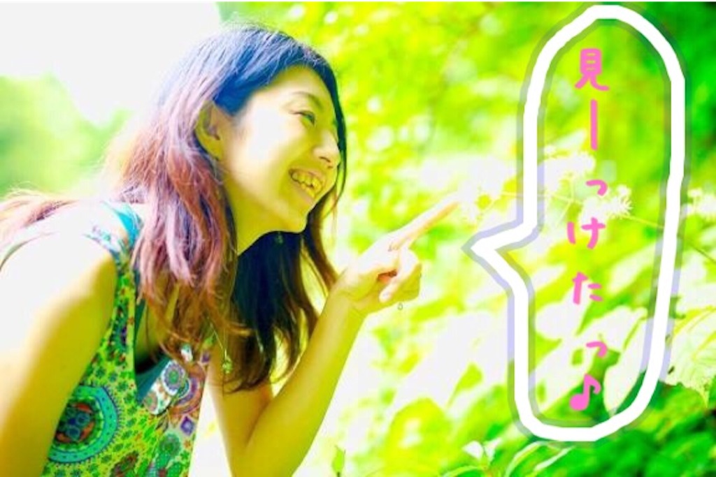 f:id:teteGift0727:20151123220322j:image f:id:teteGift0727:20151123220322j:image