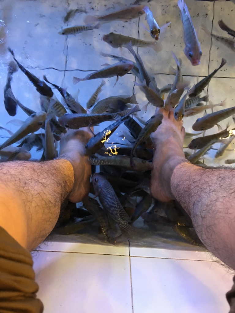 f:id:tetish11:20161204183024j:plain