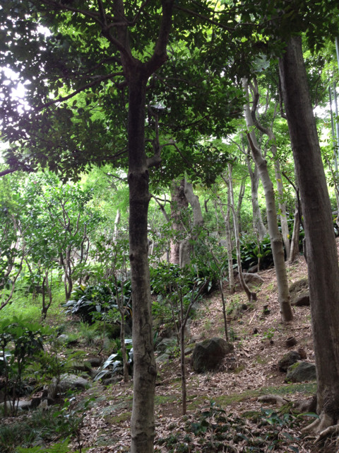 f:id:teto-screamholic:20130718000126j:image:h320