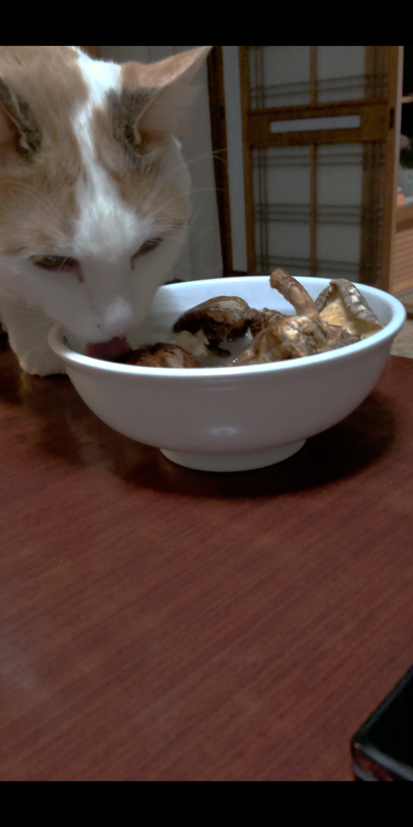 f:id:tetokororin:20220210091901p:plain