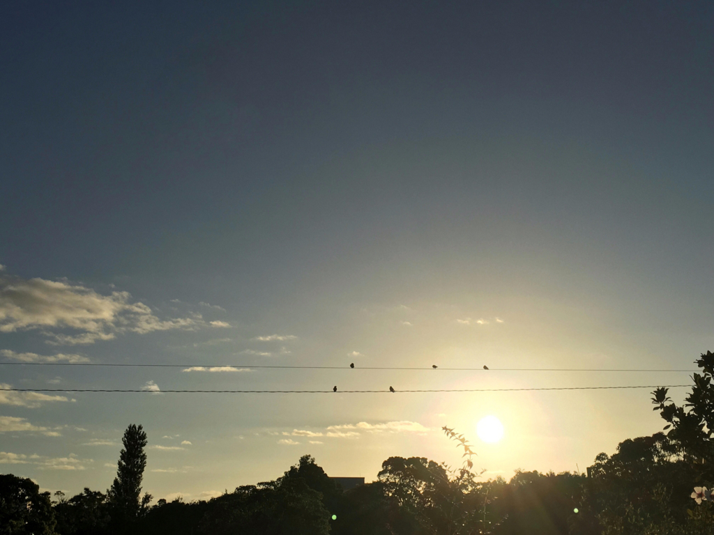 f:id:tetra1101:20180702154800j:plain