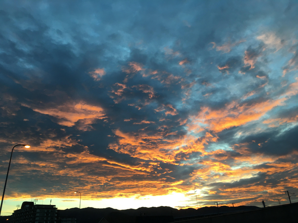 f:id:tetra1101:20180708223251j:plain