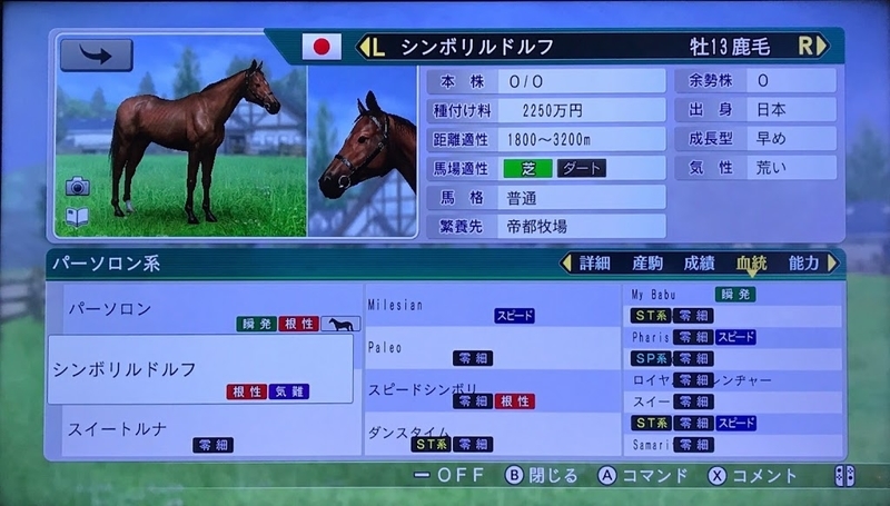 ウイニングポスト8 17プレイ日記 三大始祖復興プレイpart 2 シンボリルドルフ産駒活躍編 テトたちのにっきちょう ウイニングポスト8 17プレイ日記 三大始祖復興プレイpart 2 シンボリルドルフ産駒活躍編 テトたちのにっきちょう