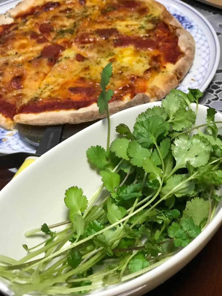 f:id:tetragon64:20180310161121j:plain