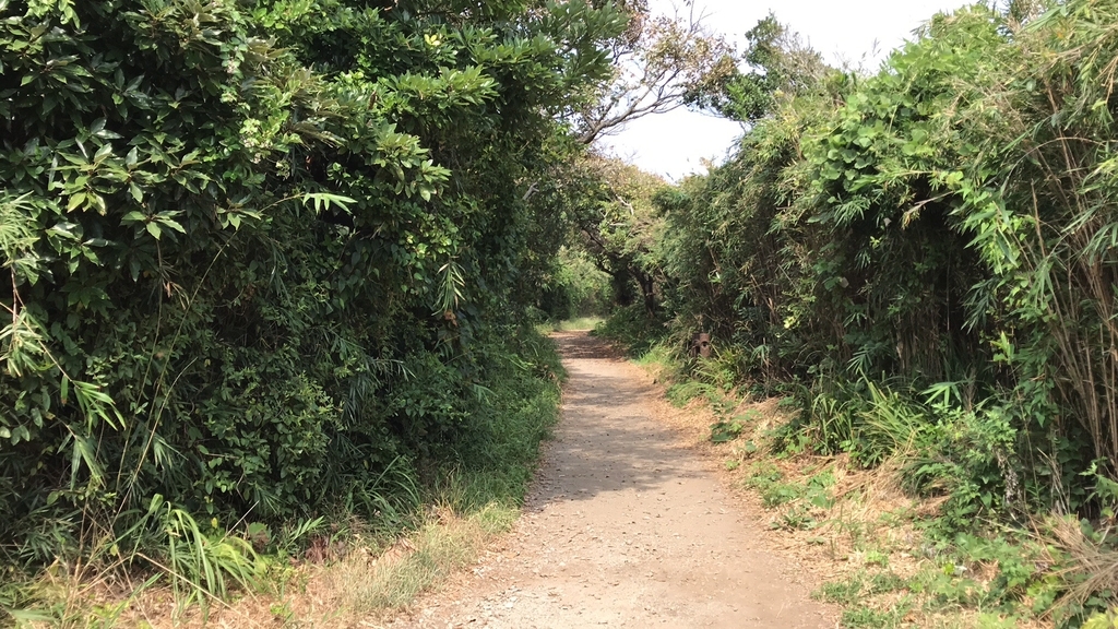 f:id:tetragon64:20180904172726j:plain