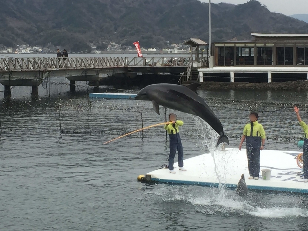 f:id:tetragon64:20181201000317j:plain f:id:tetragon64:20181201000317j:plain