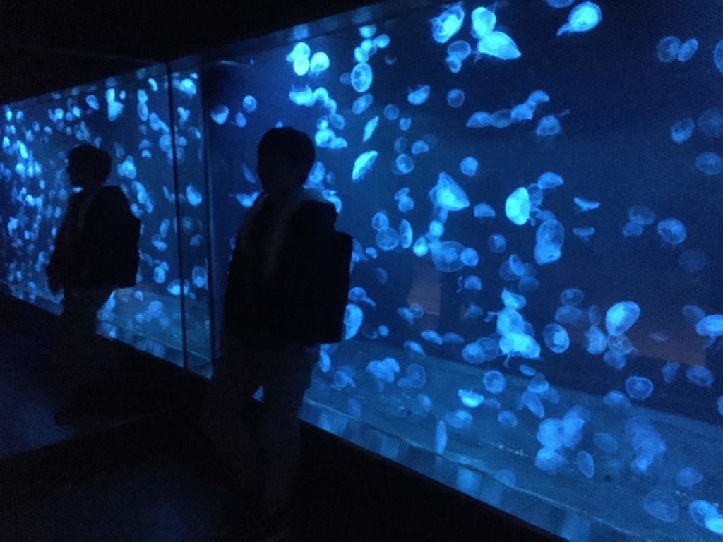 f:id:tetragon64:20181201001850j:plain f:id:tetragon64:20181201001850j:plain