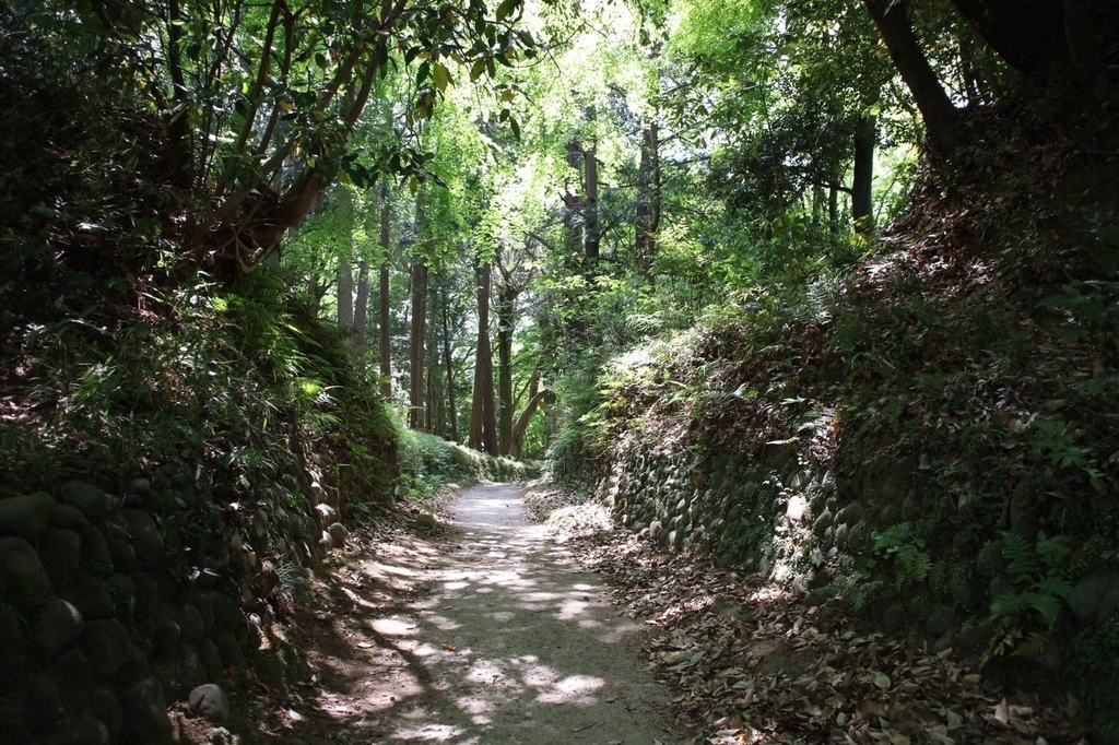 f:id:tetragon64:20181201223306j:plain