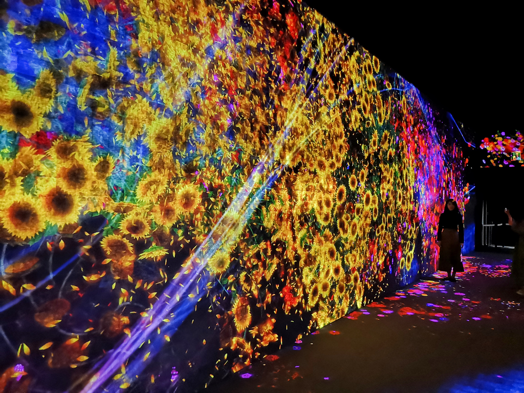 f:id:tetragon64:20190311152358j:plain