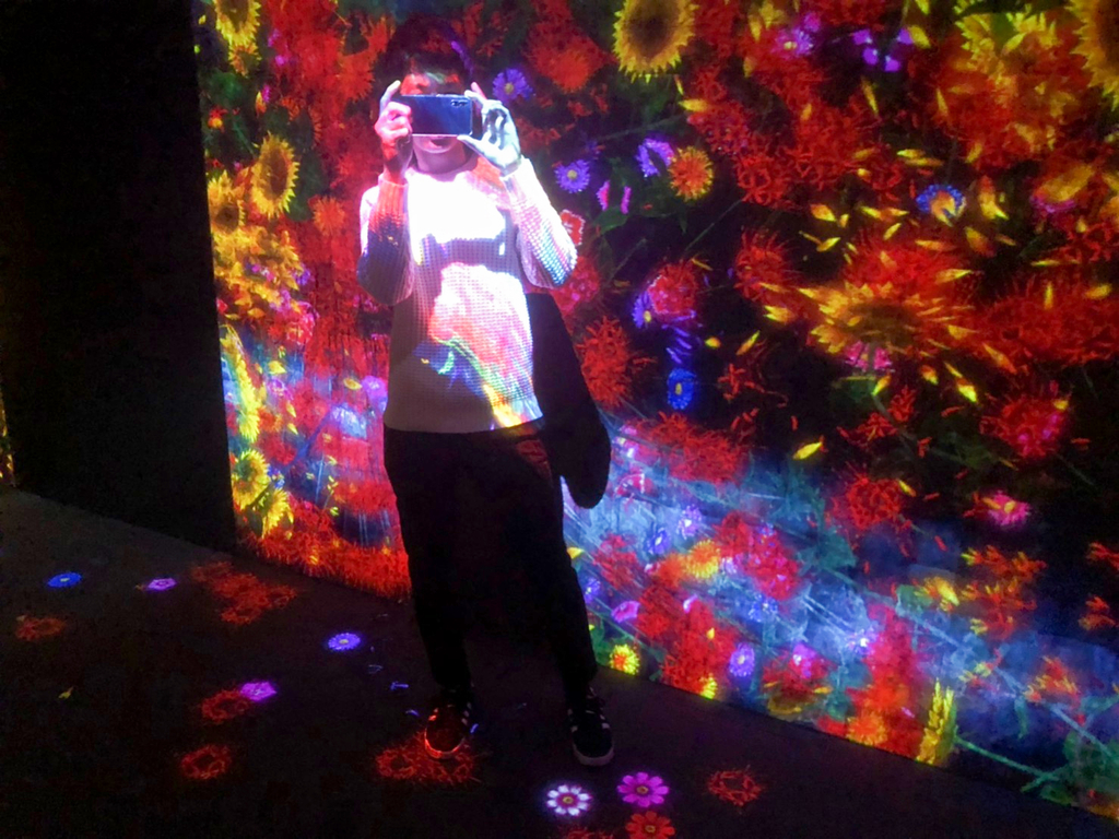 f:id:tetragon64:20190311153424j:plain