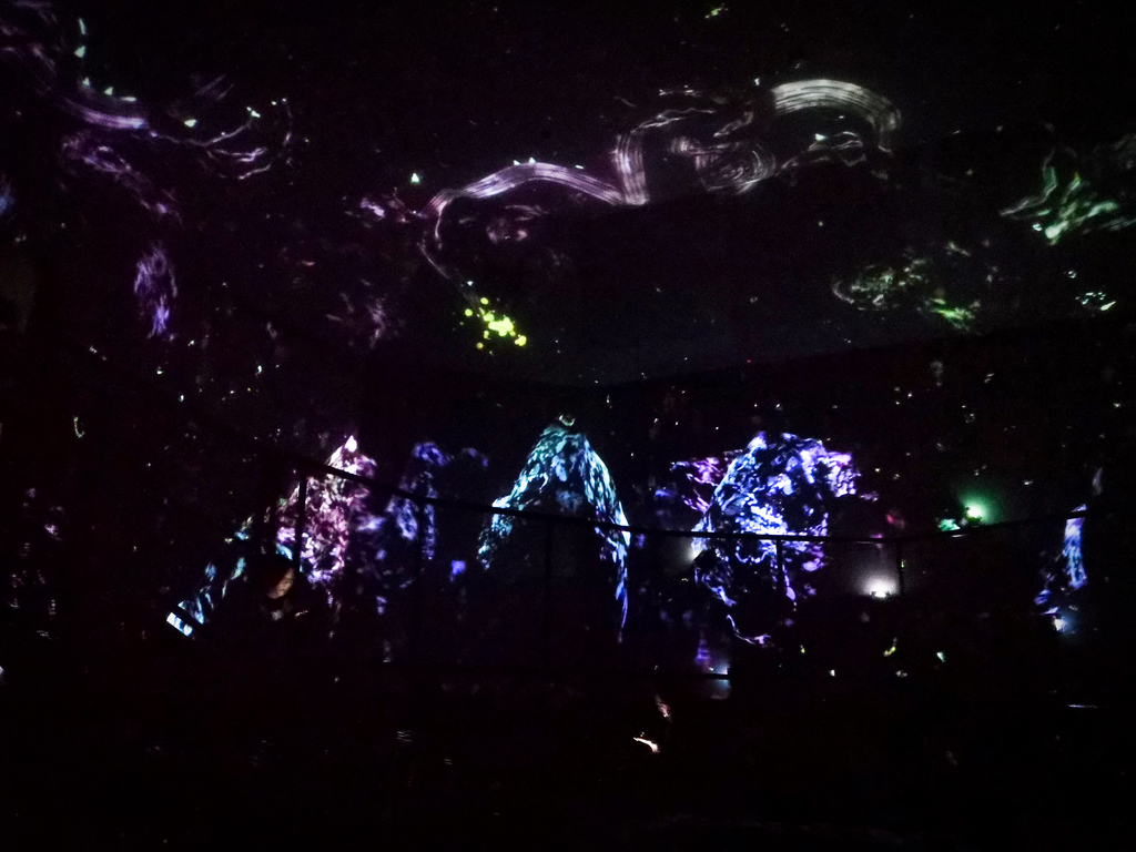 f:id:tetragon64:20190311160429j:plain