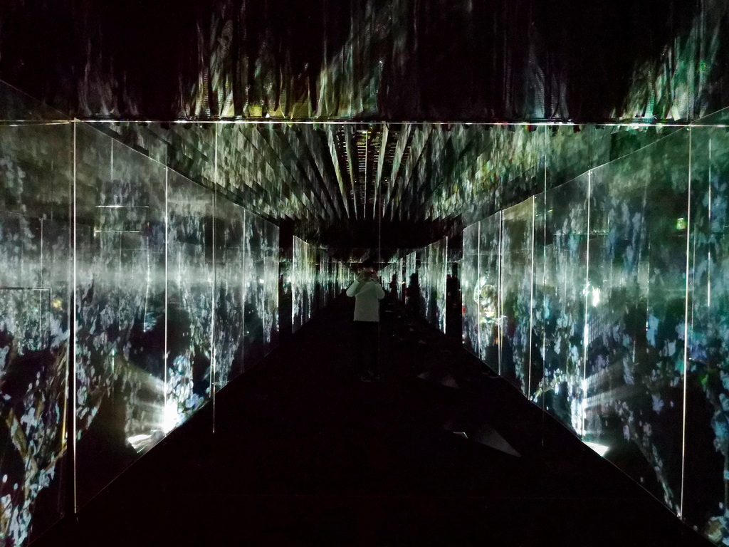 f:id:tetragon64:20190311164037j:plain