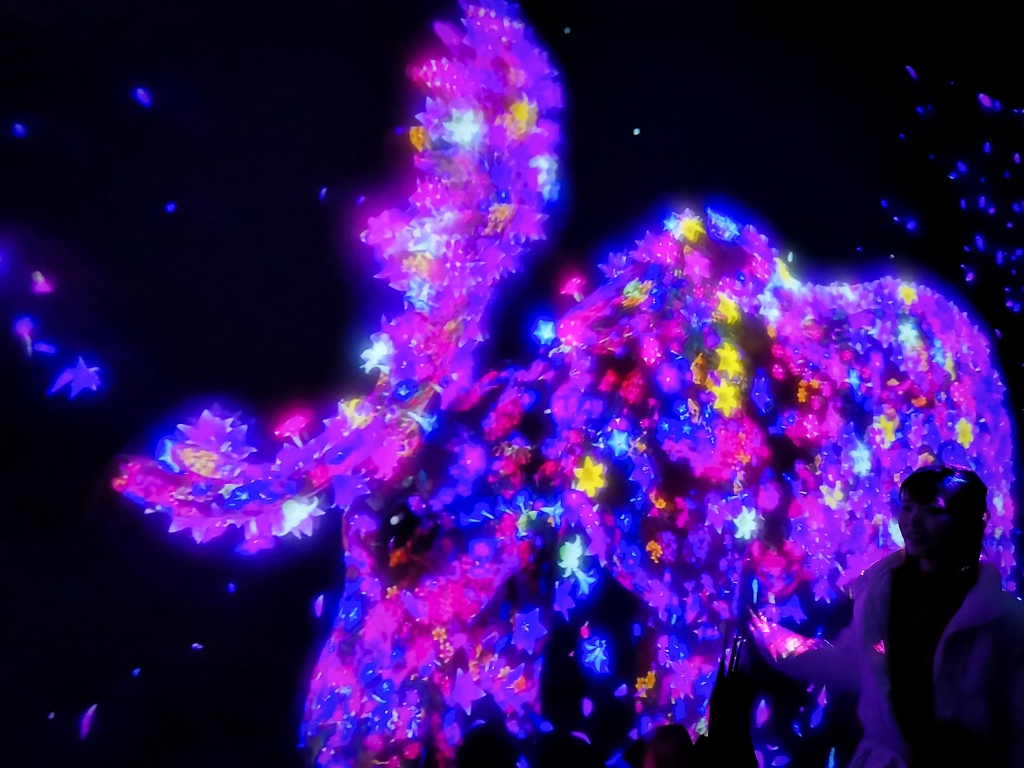 f:id:tetragon64:20190311165334j:plain