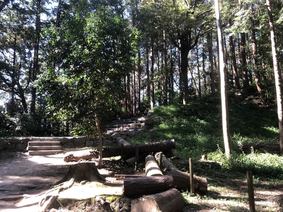 f:id:tetragon64:20190908024251j:plain