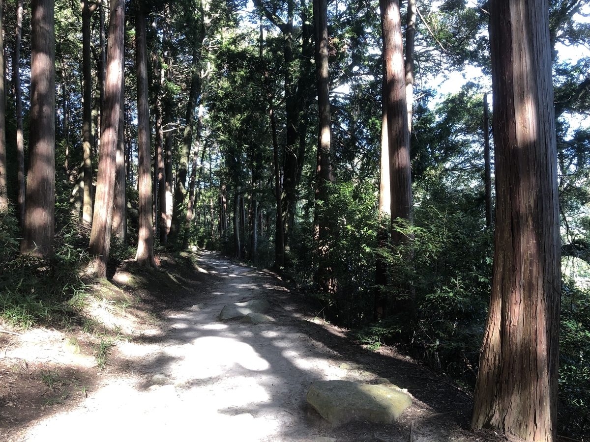 f:id:tetragon64:20190908031731j:plain