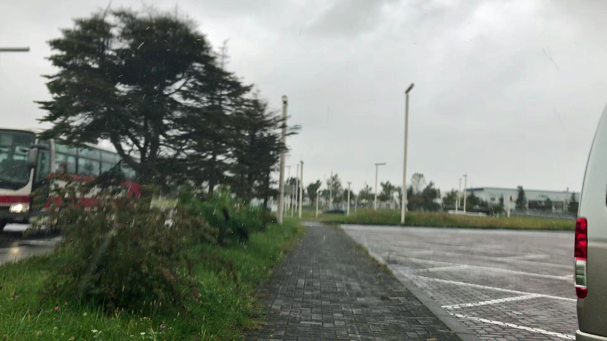 f:id:tetragon64:20191103225422j:plain