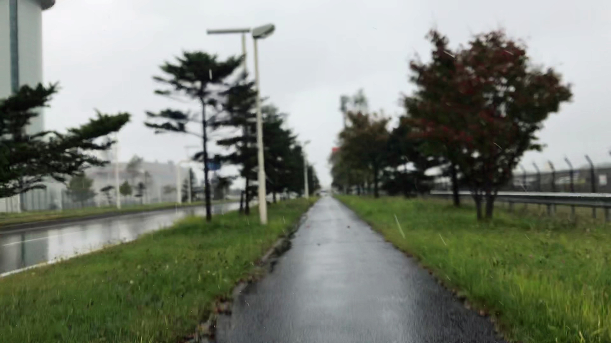 f:id:tetragon64:20191103225456j:plain