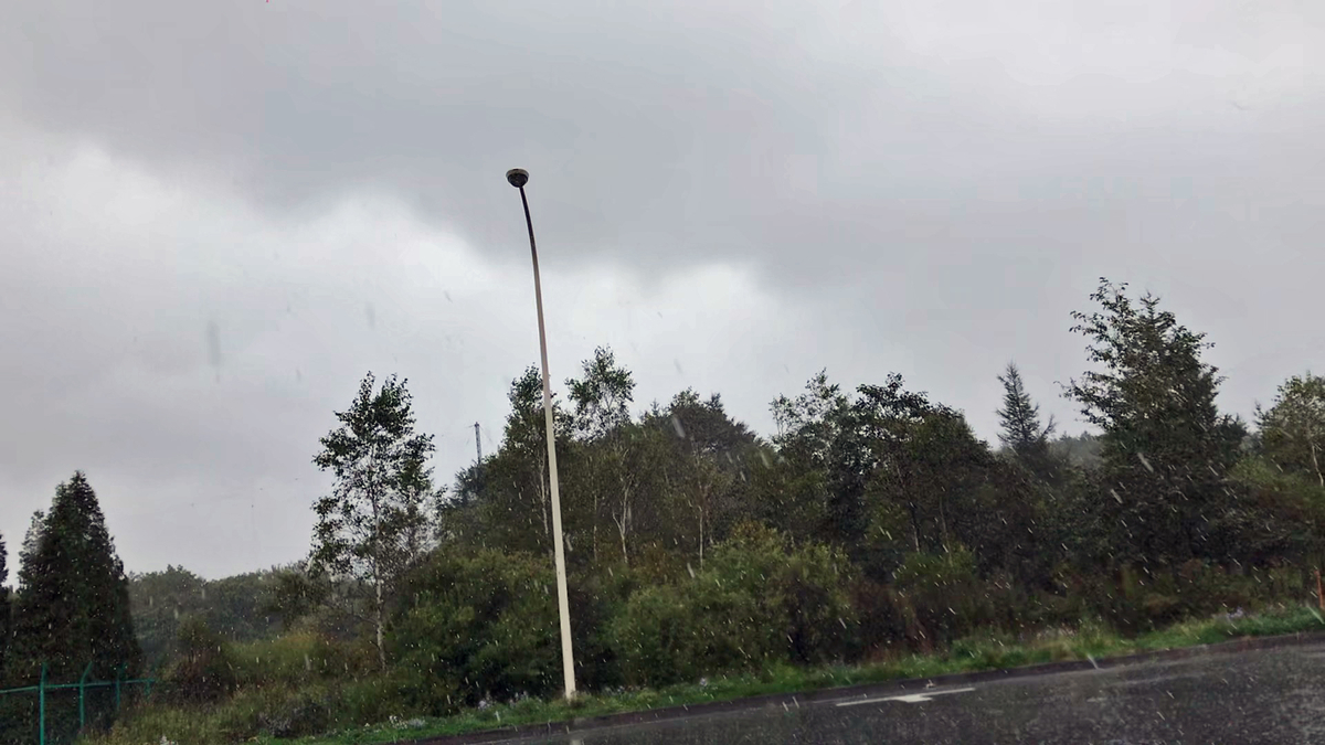 f:id:tetragon64:20191103225518j:plain