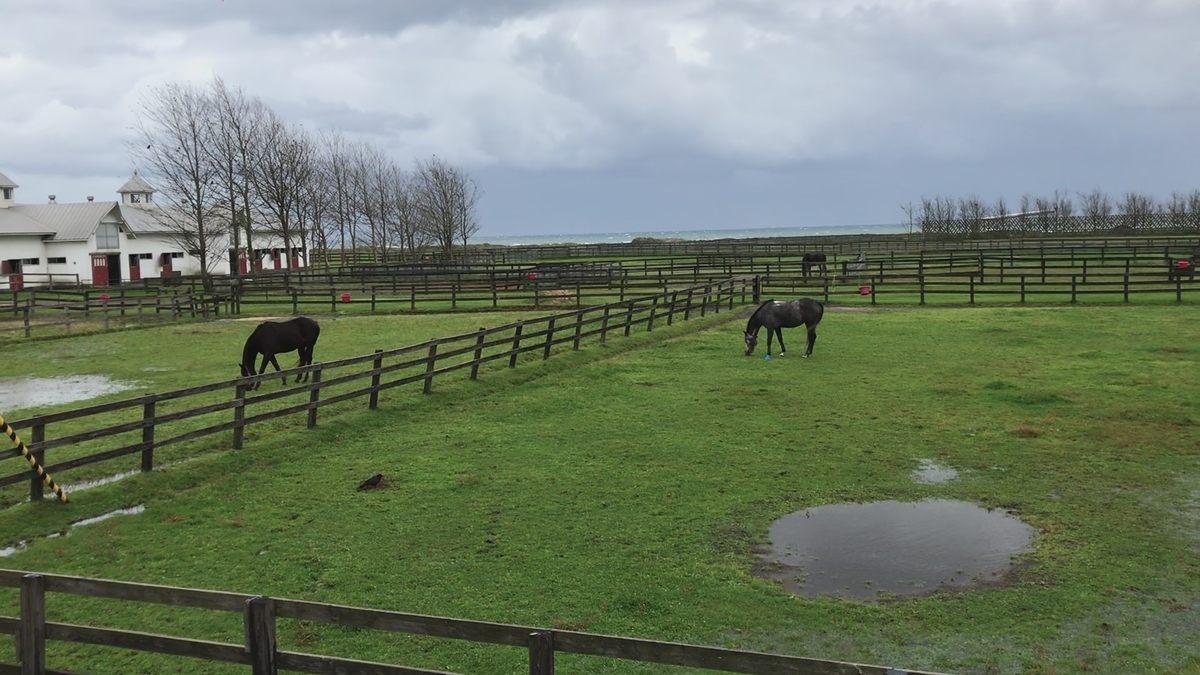 f:id:tetragon64:20191105120940j:plain