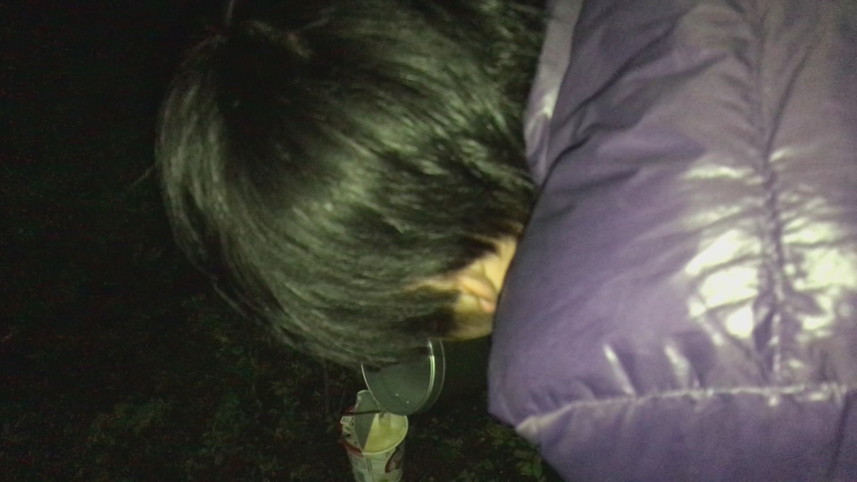 f:id:tetragon64:20191108214316j:plain