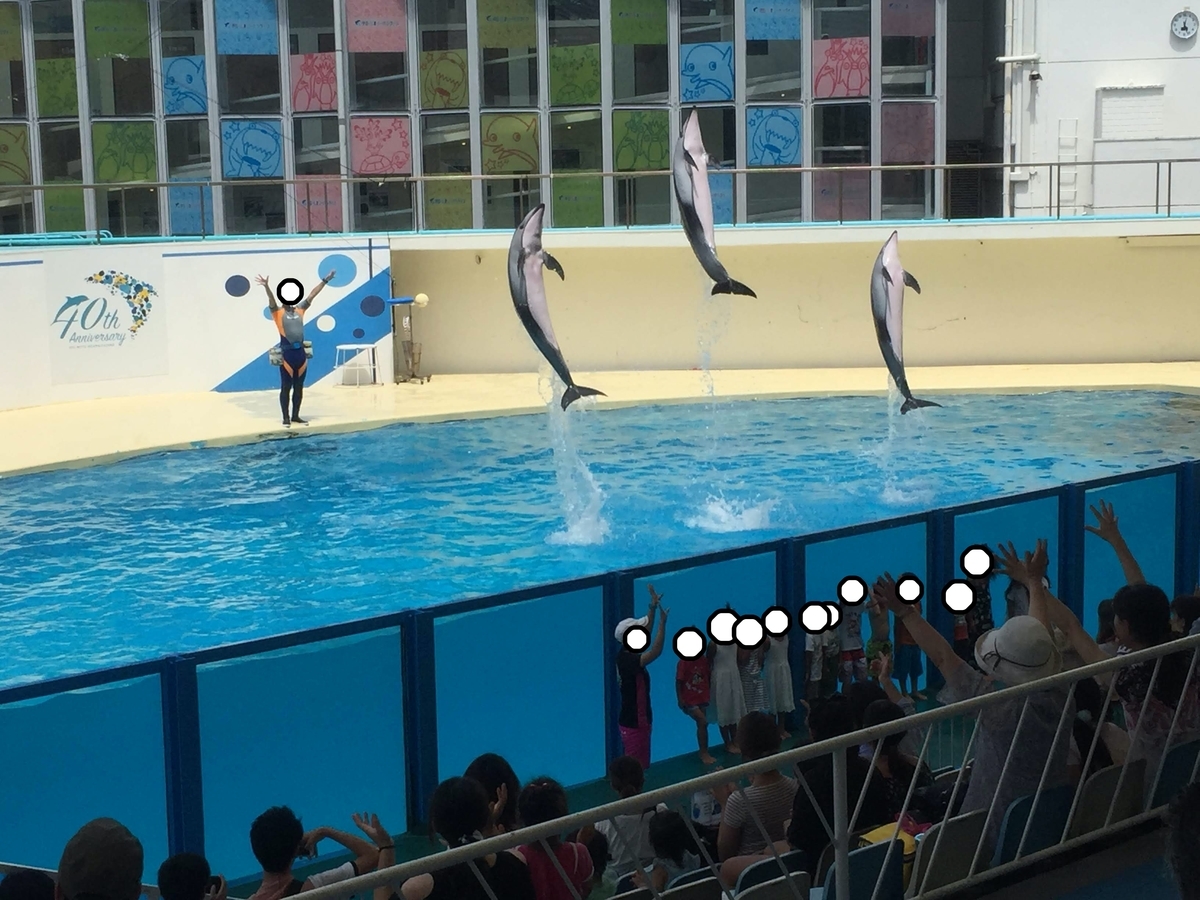 f:id:tetragon64:20200517235912j:plain f:id:tetragon64:20200517235912j:plain