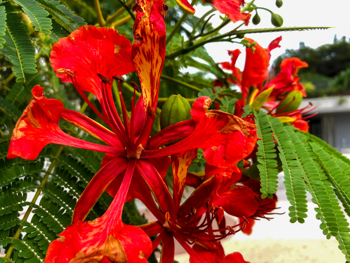 f:id:tetragon64:20201009190959j:plain