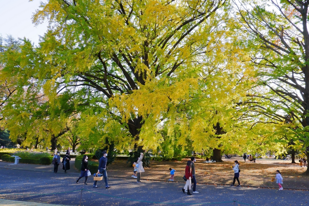 f:id:tetragon64:20201220100424j:plain