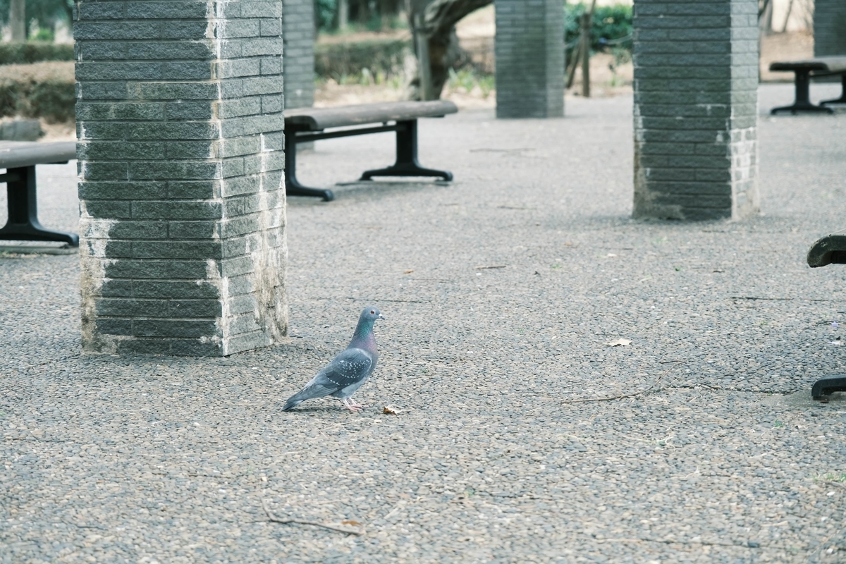f:id:tetragon64:20210326014227j:plain