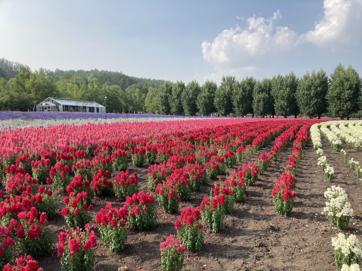 f:id:tetragon64:20210725155608j:plain