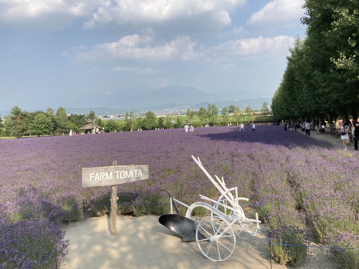 f:id:tetragon64:20210725155919j:plain