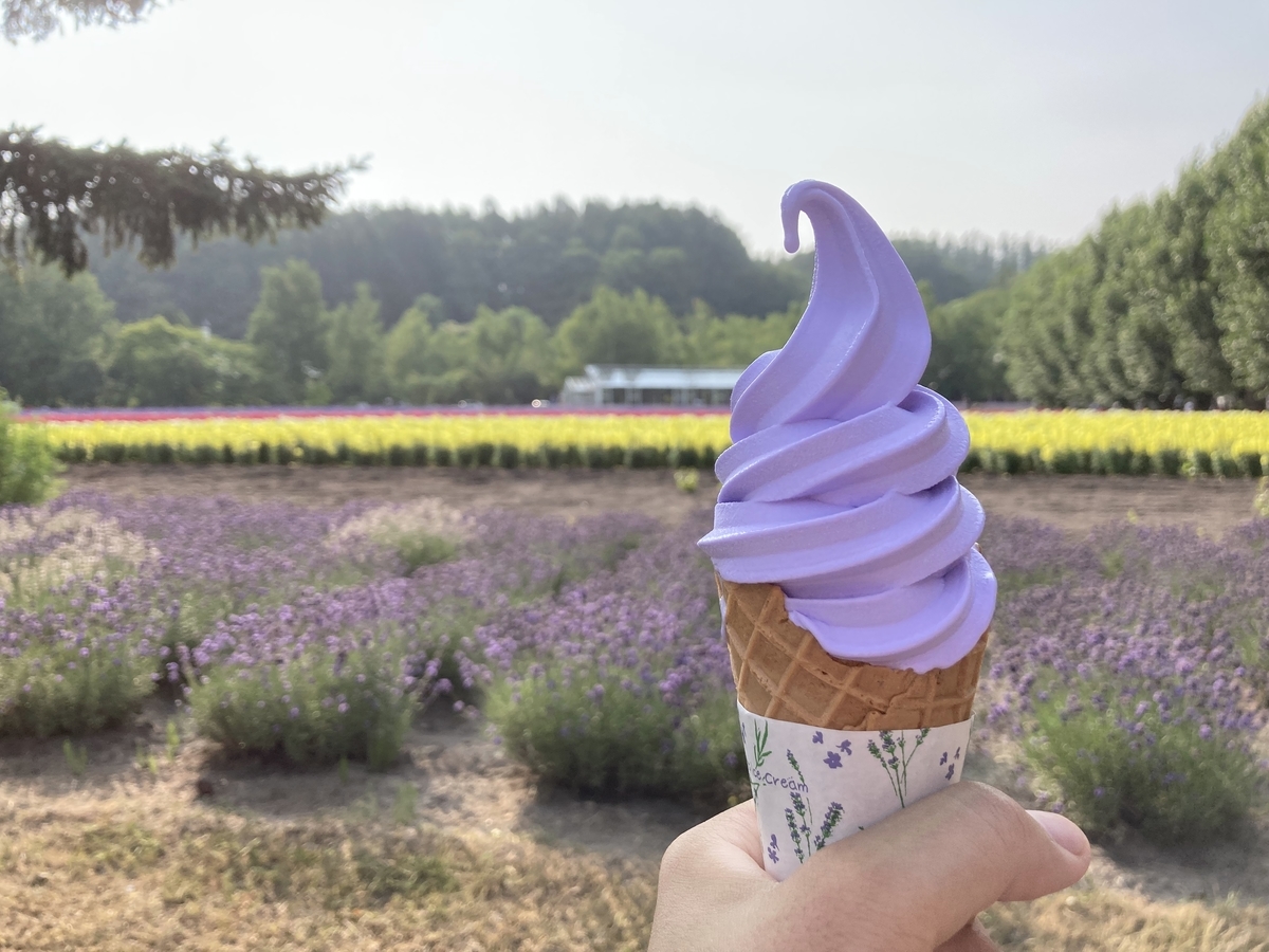 f:id:tetragon64:20210725160013j:plain