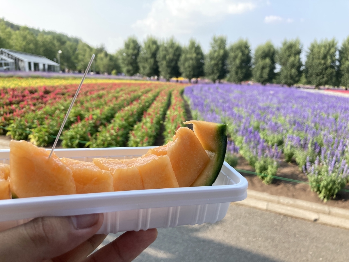 f:id:tetragon64:20210725160148j:plain