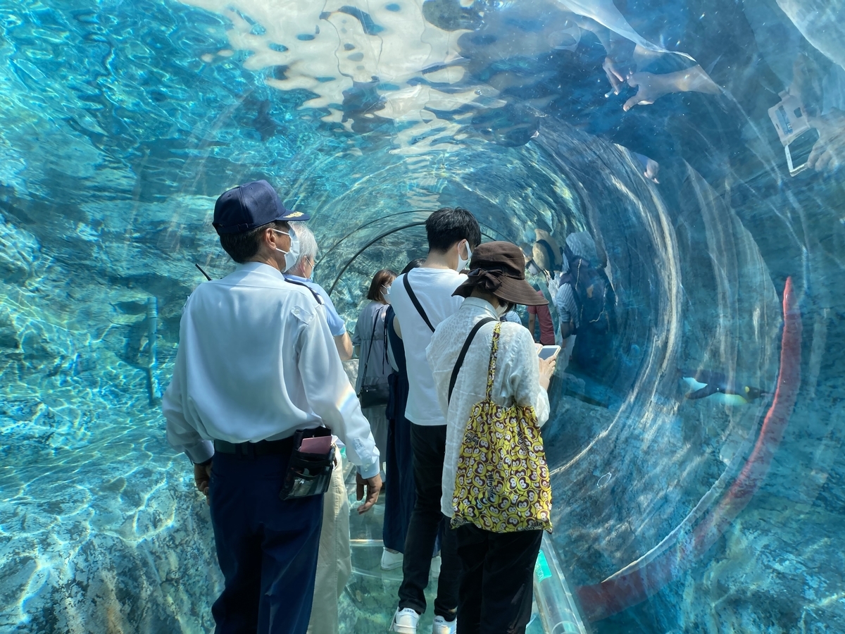 f:id:tetragon64:20210725192656j:plain