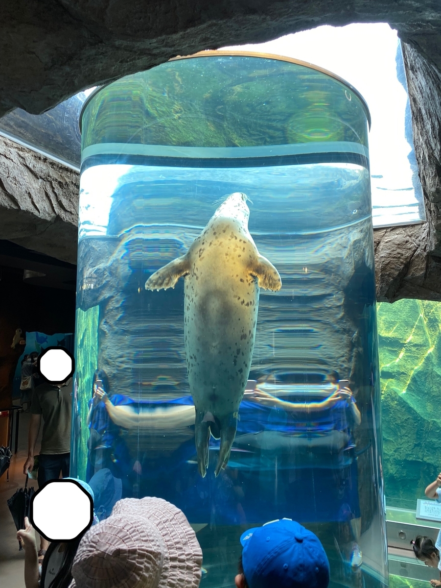 f:id:tetragon64:20210725193808j:plain