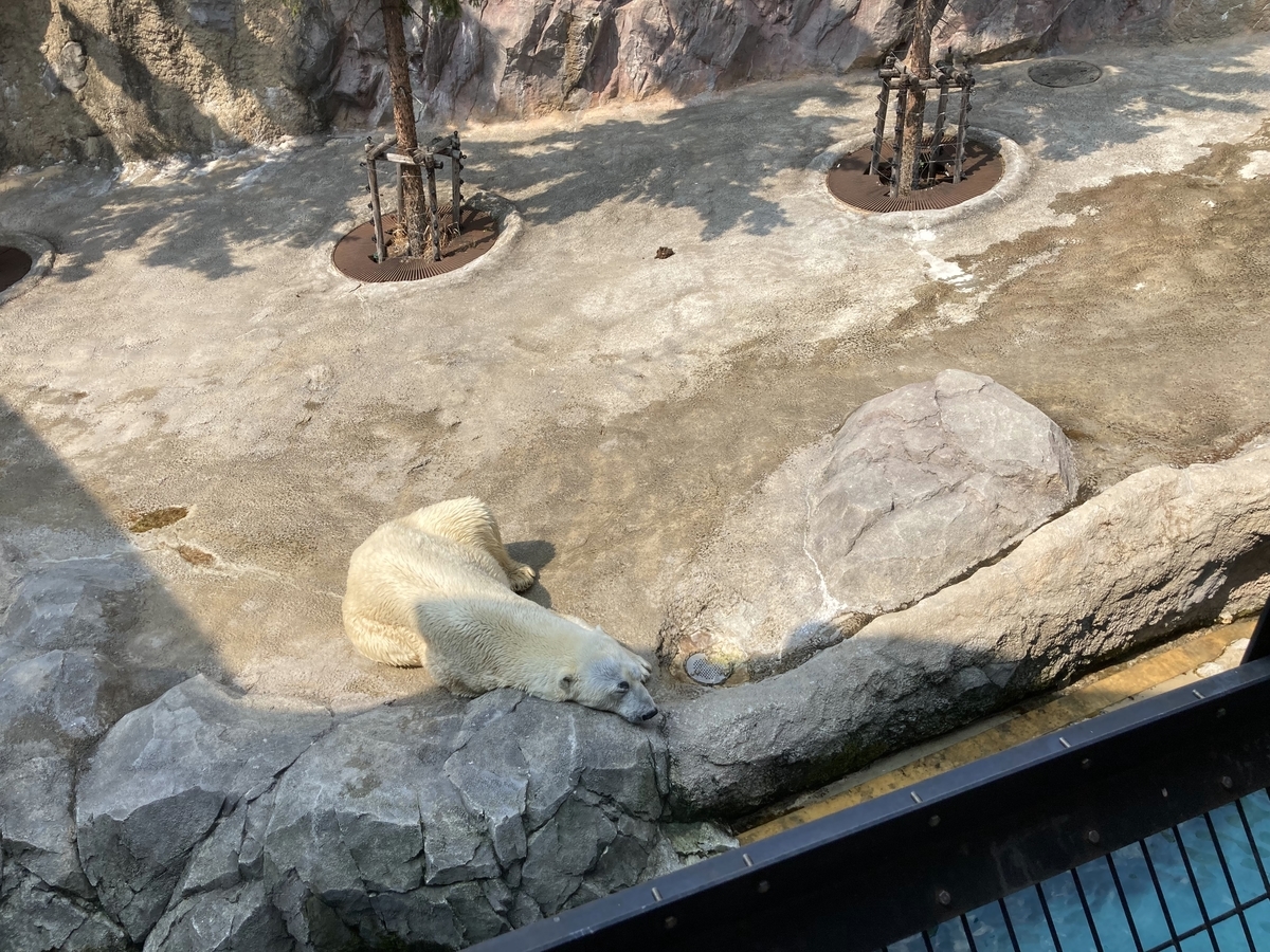 f:id:tetragon64:20210725194242j:plain