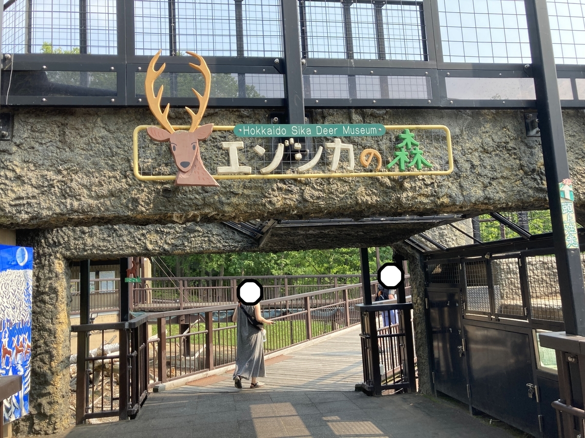 f:id:tetragon64:20210725194957j:plain