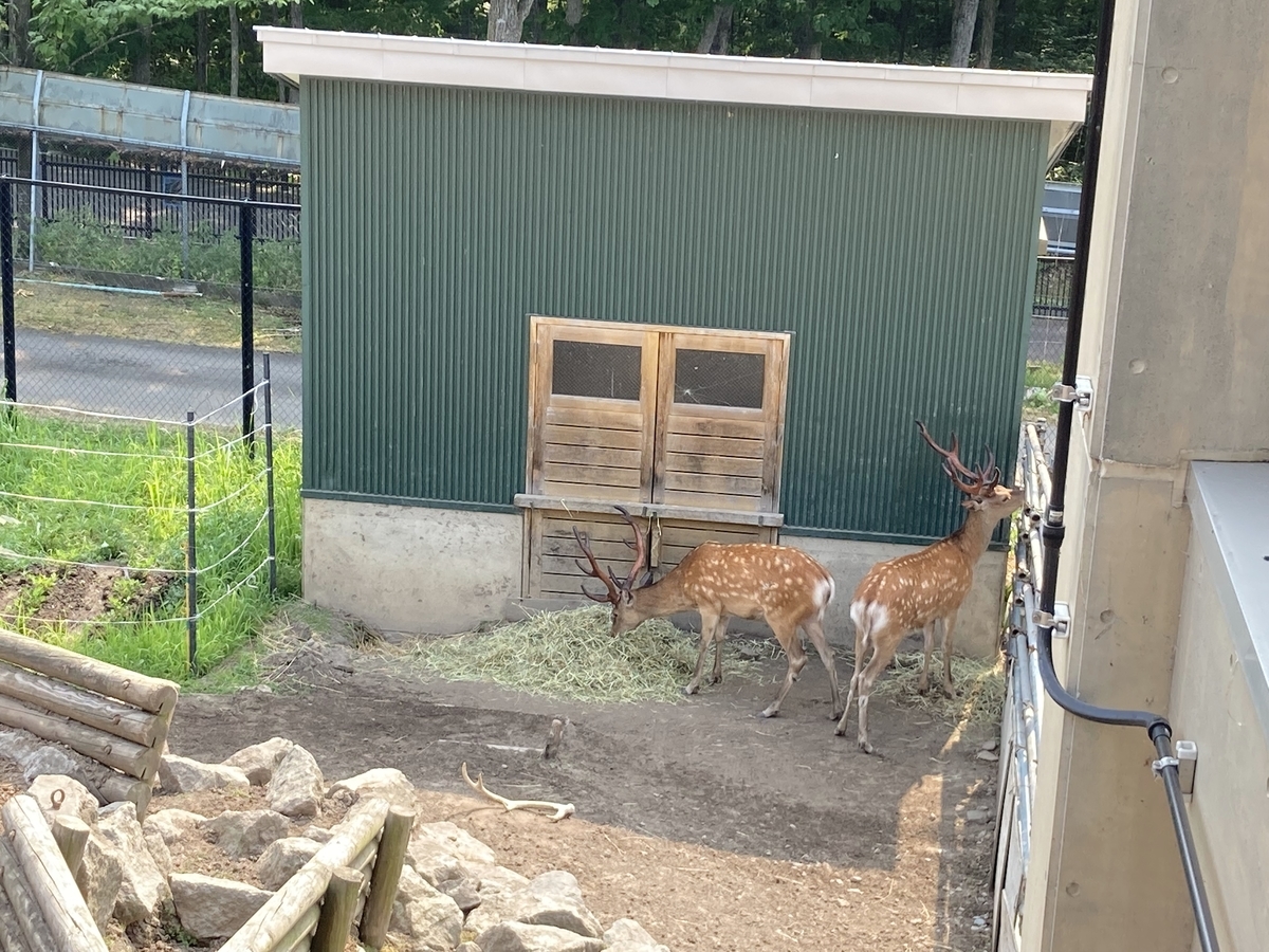 f:id:tetragon64:20210725195043j:plain