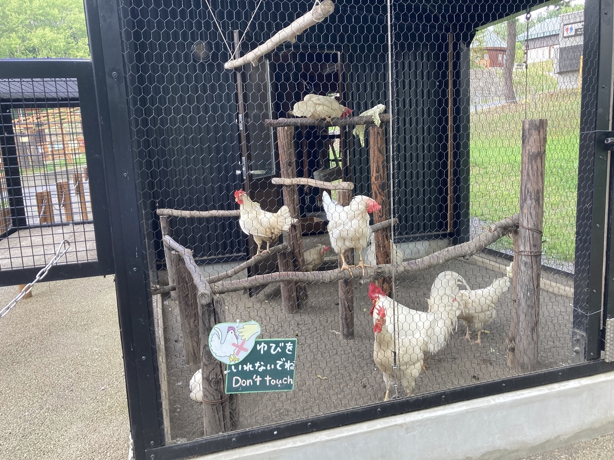 f:id:tetragon64:20210725202752j:plain