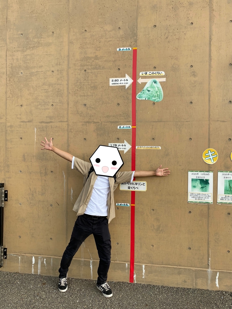 f:id:tetragon64:20210725203258j:plain