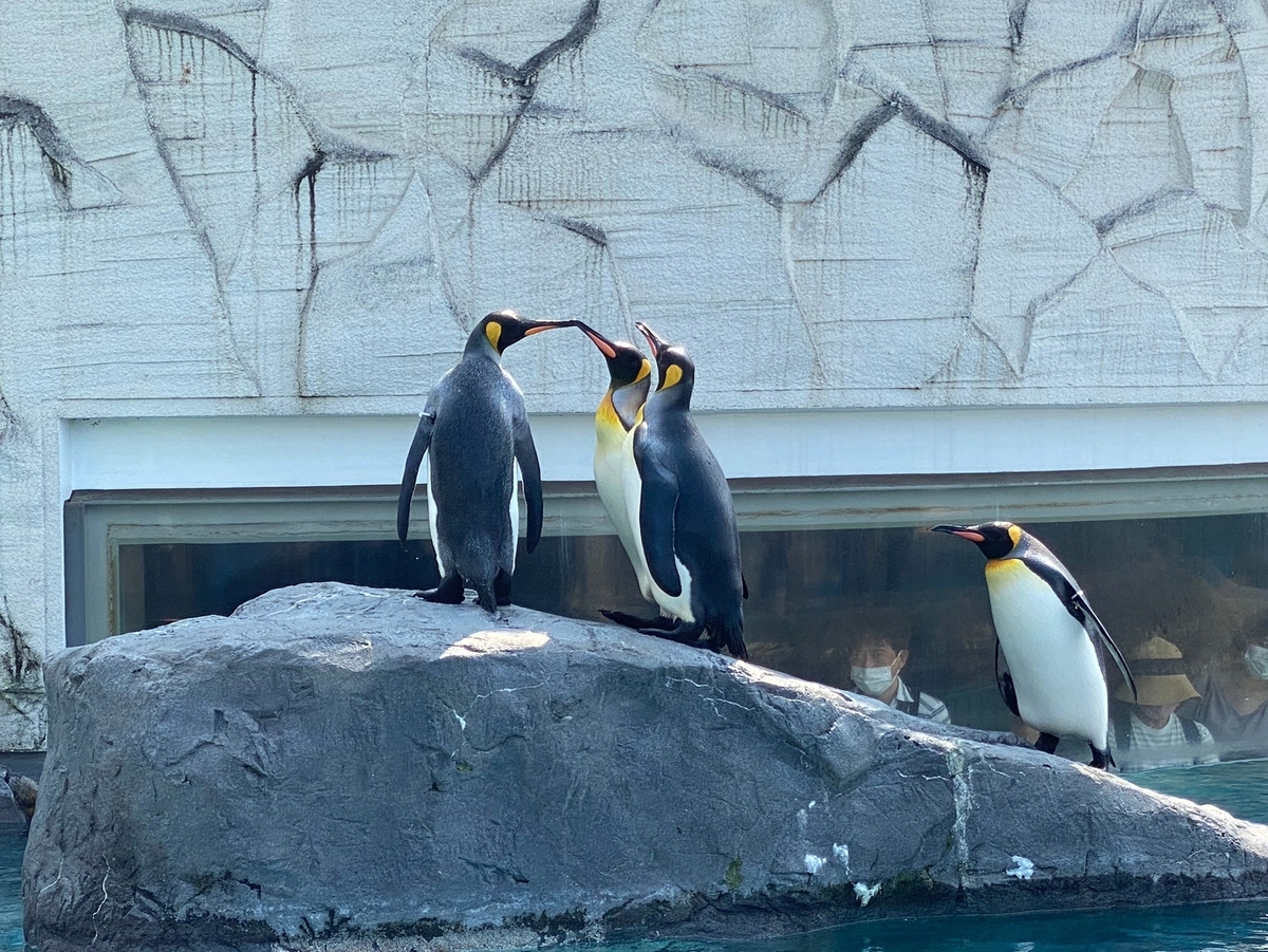 f:id:tetragon64:20210729182514j:plain