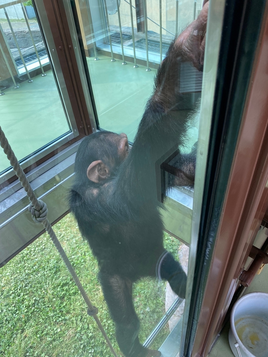 f:id:tetragon64:20210729183357j:plain