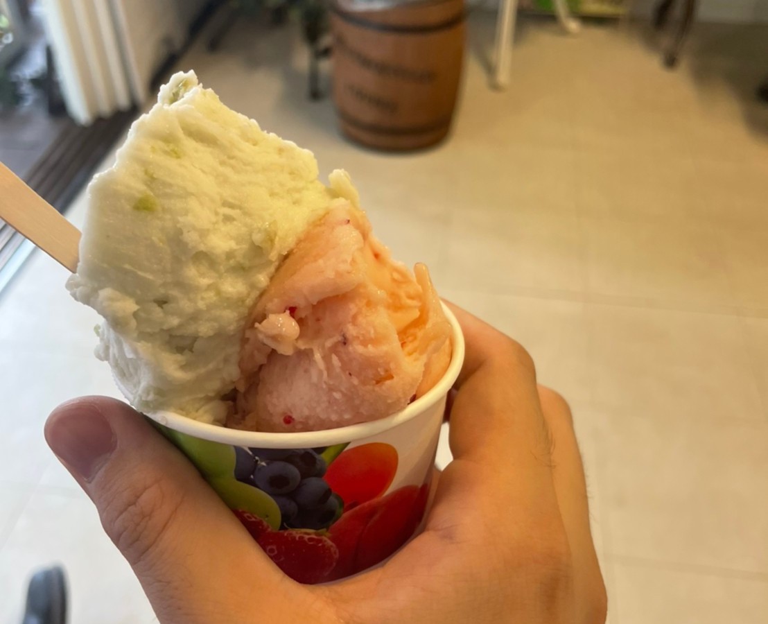 f:id:tetragon64:20210814120848j:plain