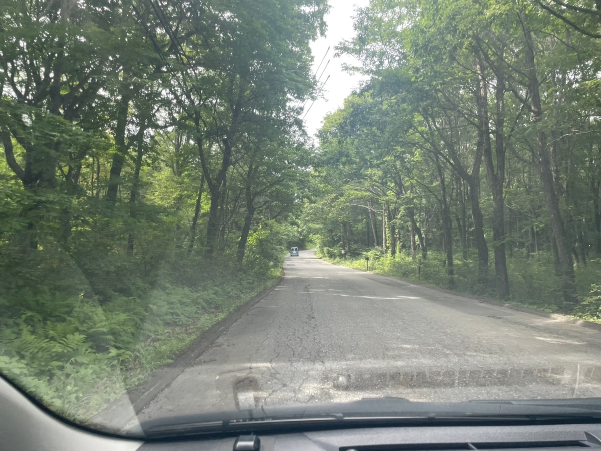 f:id:tetragon64:20210814121018j:plain