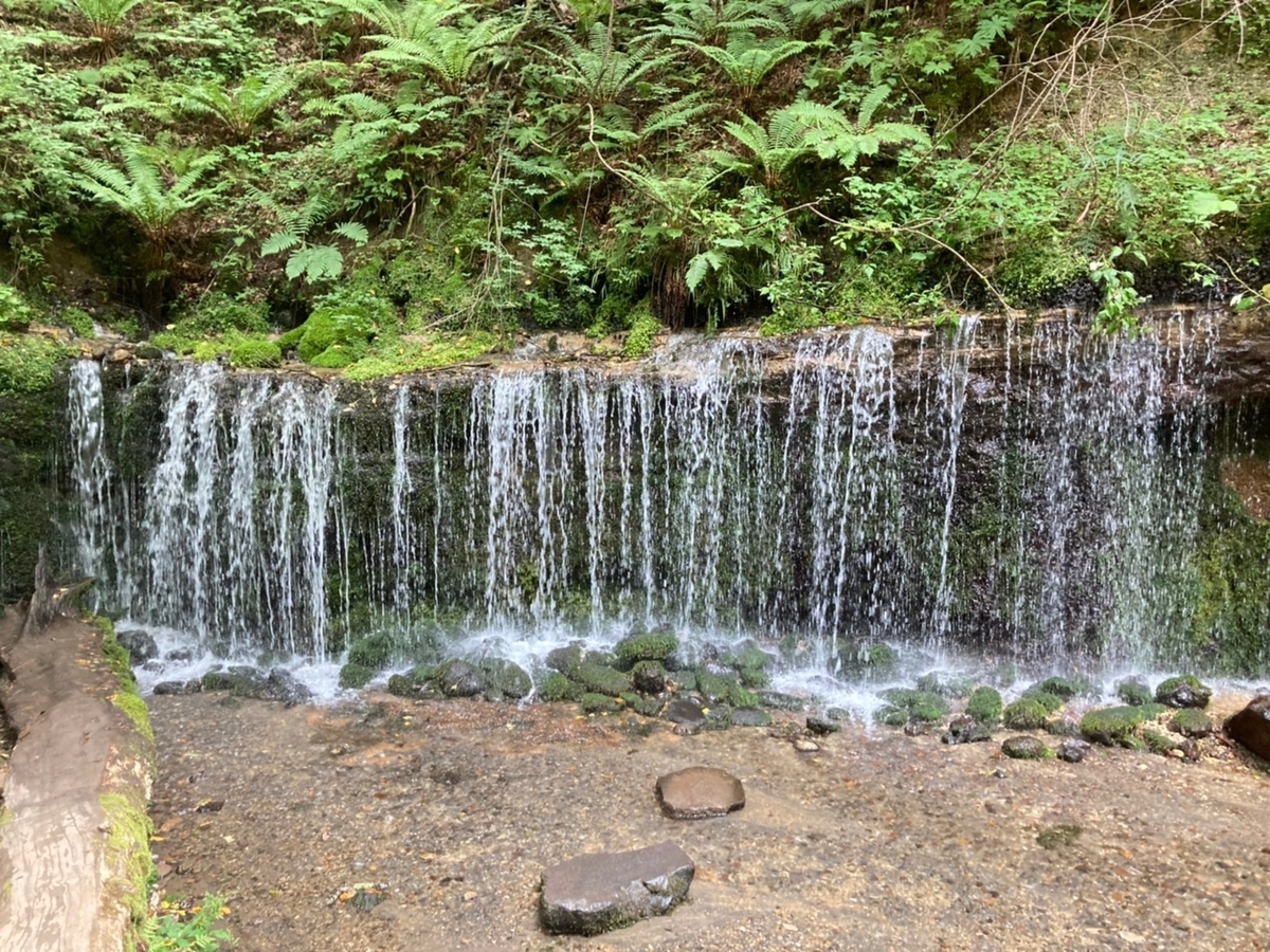 f:id:tetragon64:20210814122427j:plain