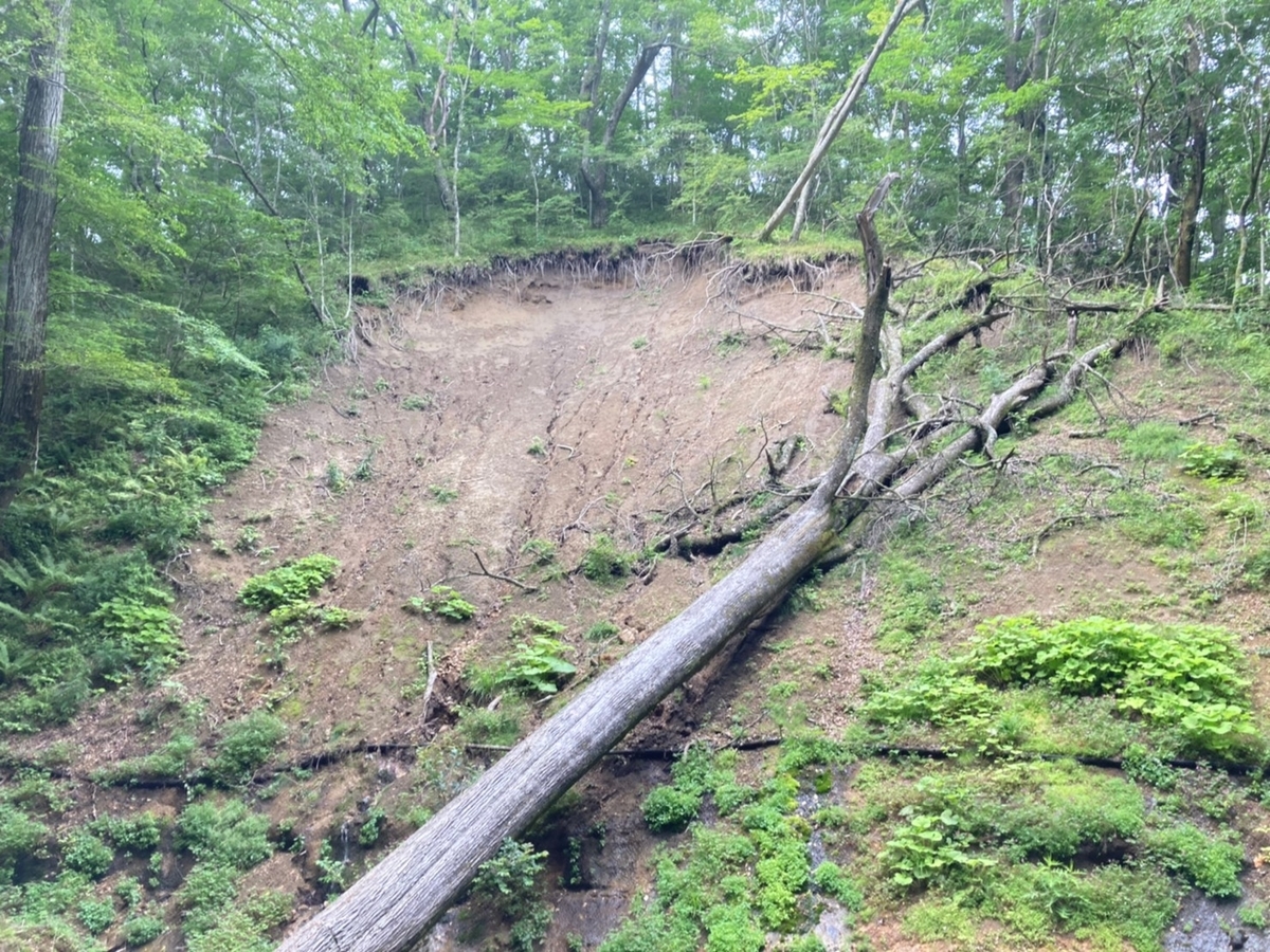 f:id:tetragon64:20210814154543j:plain