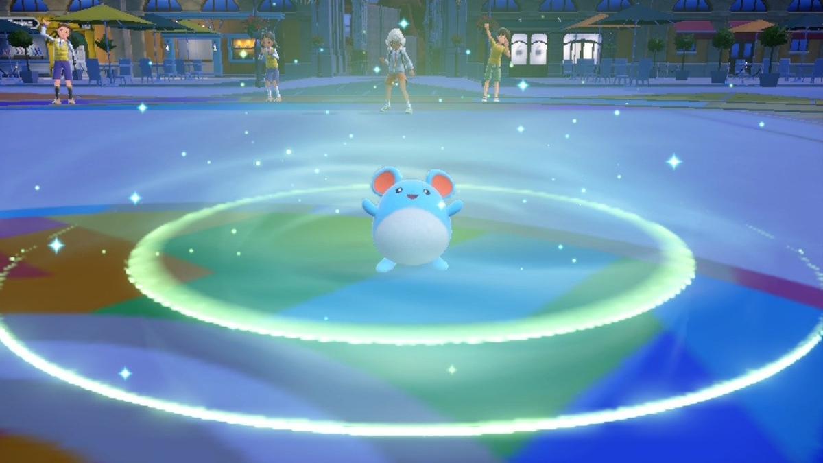 ポケモンSV】オーバーフロー非考慮の場合の最大ダメージの実演の内容 