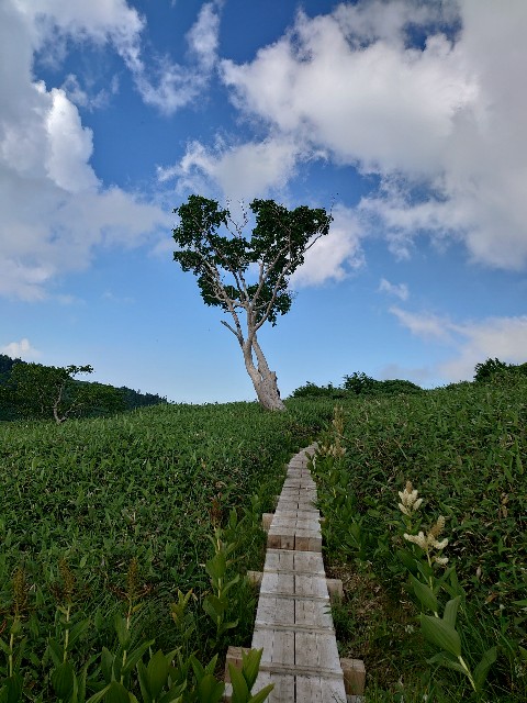 f:id:tetsu-blue:20220304074822j:image